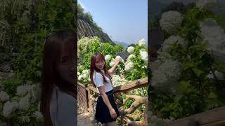 春日赏花必去，重庆南岸铜锣花谷生态园！悬崖峭壁上的绣球，杜鹃等数十个品种花开正艳！周末带娃赏春去