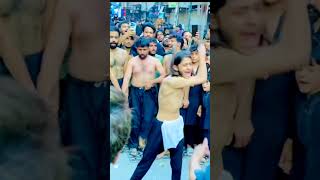 #shortvideo #arbaeen