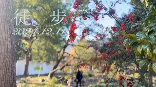【東京都・千代田区】日比谷公園2024.12.11
