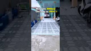 3000m 395tr #datngopgiare #sandatngop #bdsbinhduong #datnengiare #reviewbatdongsan #batdongsan2024