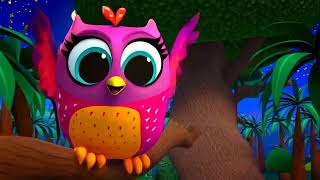The Hooty Tooty Owl | Funny Owl Song for Kids | Sing & Dance Along! 🦉