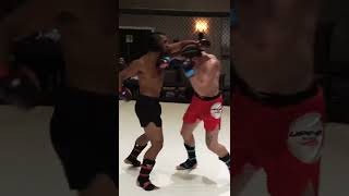 LeLeo Code LIVE MMA