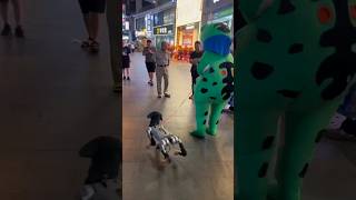 Dog Robot #robot #dogrobot #robotshort