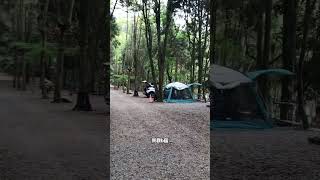 日月潭旁邊露營區/休閒設施/帖泊喀露營區/簡易介紹 #營區介紹 #日月潭#南投景點