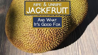 Jackfruit, World's Largest Tree Fruit and What It's Good For