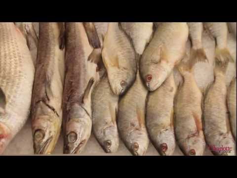 Latin Cuisine: Beyond the Taco | Charlotte Video Project