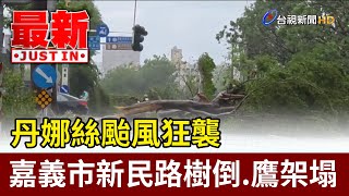丹娜絲颱風狂襲 嘉義市新民路樹倒.鷹架塌【最新快訊】