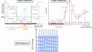 Multimodal BCI Feature Selection Demo 2