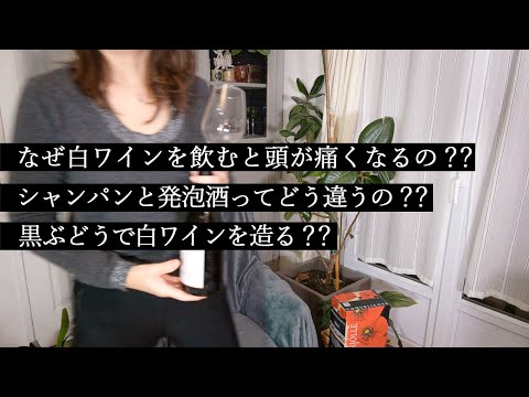 ワインでフランス一周🍷ワインの種類と造り方をゆっくり話していきます｜誰でも簡単に分かるワイン解説＃2