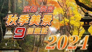 Amazing ！9 Autumn Spots in Kansai for 2024: Kyoto, Nara, and Hyogo’s Best Foliage and Scenic Views