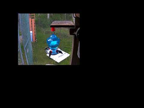 Humming bird feeder