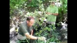 River Watch Training - Testing alkalinity, hardness, and dissolved oxygen