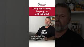 Can physiotherapy help my cat with arthritis?