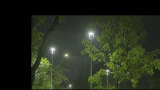 Night 🌧️"Night Rain with Text Design | Relaxing Animation with Soothing Rain Sounds" #viralvideo