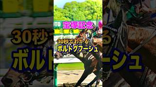 【宝塚記念2025】30秒でわかるボルドグフーシュ