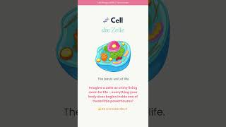 Cell | die Zelle 📖✨Learn German with Me: Medical Vocabulary #germanmedicalterms