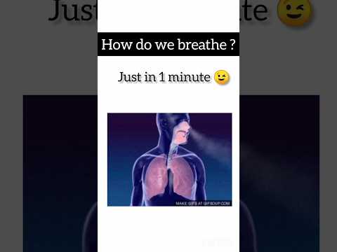 How do we breathe ?...Just in 1 minute...😉#breathing #animatedvideo #easyexplanation #respiration