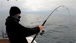 2021 Daiwa BG MQ 6000 Unboxing - Vertical Jigging Amberjacks & Red Snapper - Fish On Constantly...