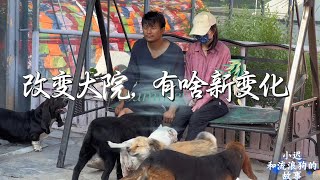 小迟又给流浪狗狗改变生活了，看看靠谱吗？毛孩子的开心胜似一切