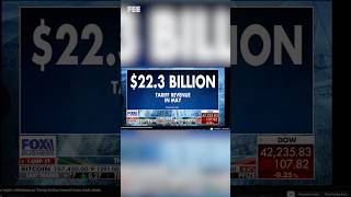 Tariff Revenue = Tax Burden