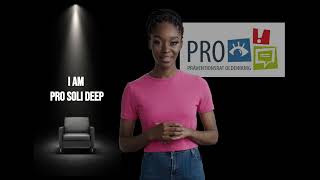 ProSoliDeep - KI Inside - GPT Assisten für DeepFakes