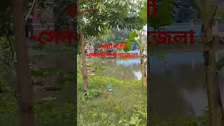 #shortvideo #upazila senbag#shortsfeed #subscribe #2023