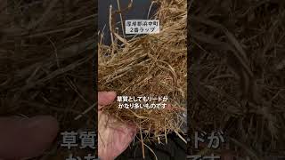 厚岸郡浜中町2番ラップ（2023）【No.173】