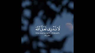 Quran Lines | Islamic Shorts Status | Islamic Videos | Quran Tilawat | Beautiful Quran