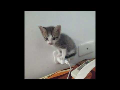 ami tomar didhay bachi (slowed) - minar rahman