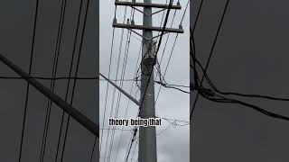 Fuse placement is key to safety! #electrician #3phase #lineman #electrical
