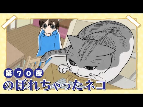 アニメ『夜は猫といっしょ』第70夜「のぼれちゃったネコ」