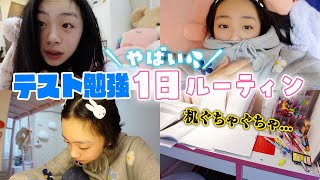今日は1日テスト勉強！テスト9日前の1日テスト勉強ルーティン♪（中学2年生女子）
