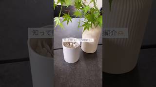 seria収納ケースが優秀すぎた！ #vlog #子育てvlog #子育て記録 #インテリア #1歳 #ルーティン #子育て奮闘記 #購入品紹介#shorts
