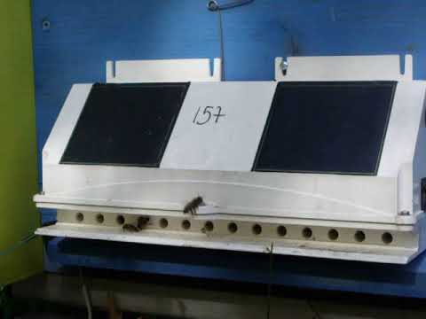 Electronic counting of incoming and outgoing forager bees