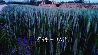 出来走一走，感受大自然的气息和美景！
