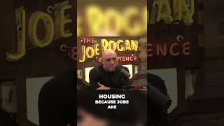 Yang's Universal Basic Income: Jobs of the Future? #podcast #jre #jreclips #politics #joerogan