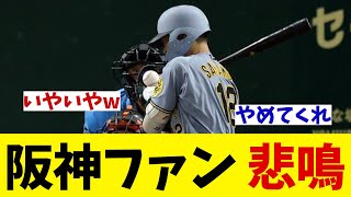 阪神ファン　悲鳴・・・【野球情報】【2ch 5ch】【なんJ なんG反応】【野球スレ】