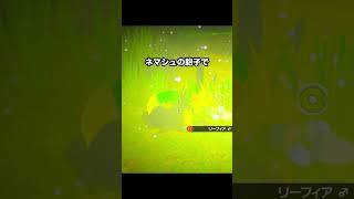 はしゃぎすぎたリーフィアの末路　#newポケモンスナップ #ポケモン
