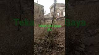 Tekari Kila Gaya jila bhoot 👍👍👍👍👍❤️❤️❤️❤️❤️❤️😀