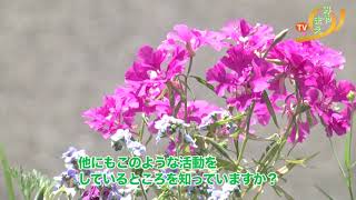 ぐる～っとみやまえTV第４回目「花を愛する人たち」特集