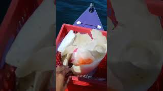 SUP淨海愛地球