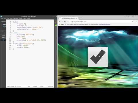 02 Customized CheckBox animation Tutorial Pure HTML and css