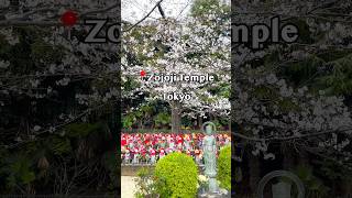 🌸 Zojoji Temple (増上寺 – 東京)