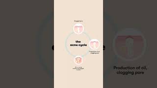 Acne cycle #tranding #skincare #bollywood #music #song