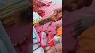 How to Clean Rudraksha Fruit cleaning Rudraksha Live Rudraksha preparation full process #Rudraksha