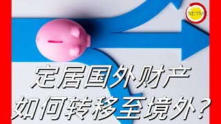 定居国外，个人财产如何转移至境外 #移民 #海外 #出国 #自由