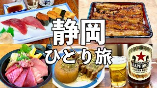 Japan Solo Travel: Shizuoka Day Trip – Seafood Bar, Historic Unagi & Oden Feast