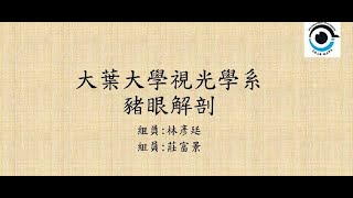 大葉大學-視光學系 豬眼解剖@大葉大學視光學系