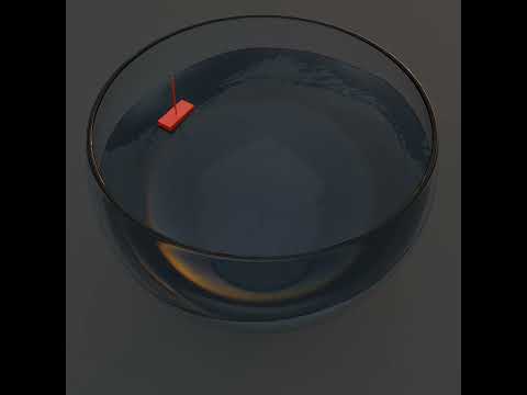 Boat in a Goldfish Bowl