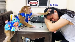 Mom...Are you okay? Monkey Lyly was heartbroken when she saw her mother falling asleep while working